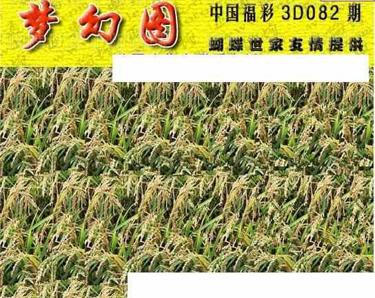 24082期: 3D蝴蝶世家蝴蝶彩图