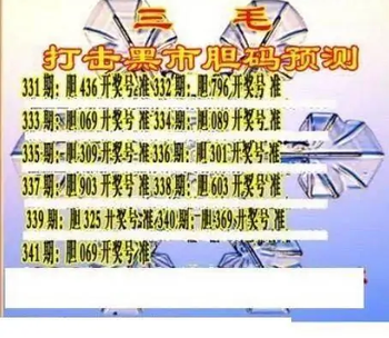 25341期: 三毛3D精品图谜