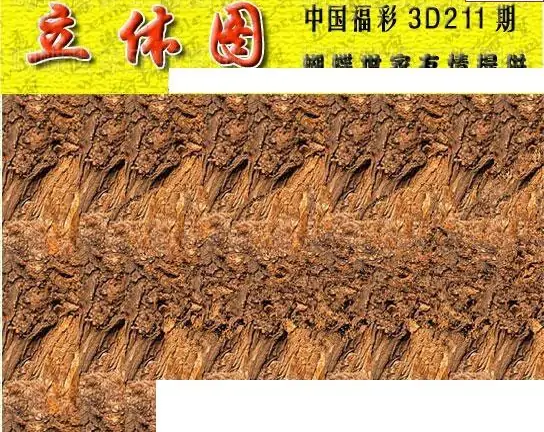 25211期: 3D蝴蝶世家蝴蝶彩图