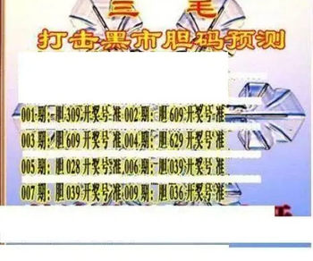 26009期: 三毛3D精品图谜