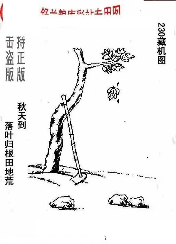 25230期: 老村长福彩3D天天图谜