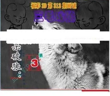 25313期: 三毛3D精品图谜