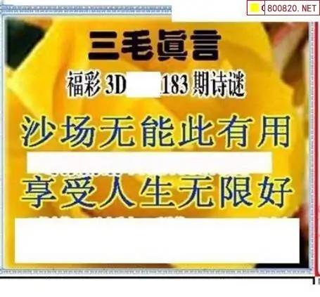 25183期: 三毛3D精品图谜