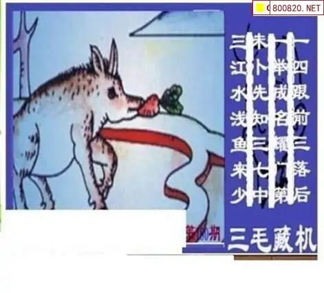 25180期: 三毛3D精品图谜