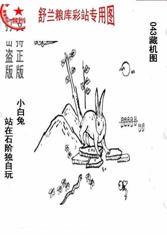 25043期: 老村长福彩3D天天图谜