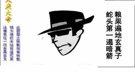 24164期: 白老3D杀码图版