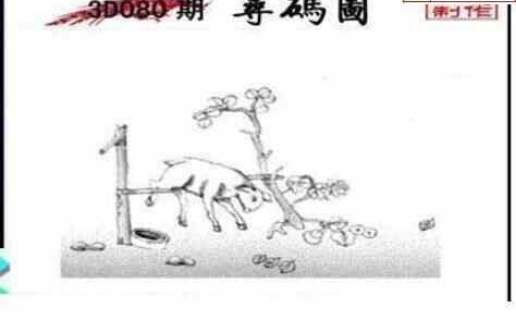 24080期: 三毛3D精品图谜