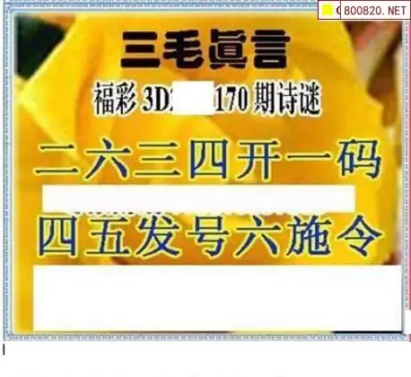 25170期: 三毛3D精品图谜