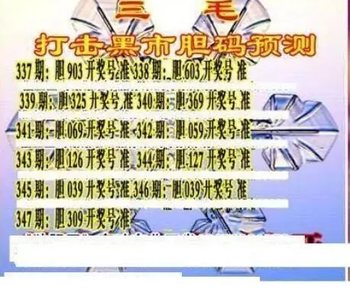 25347期: 三毛3D精品图谜