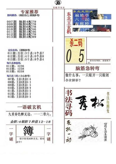 26013期: 福彩3D全套图版参考