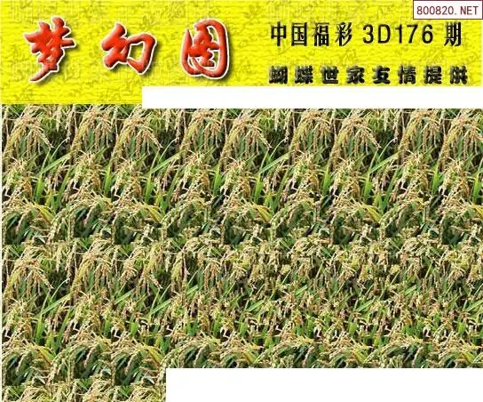 25176期: 3D蝴蝶世家蝴蝶彩图