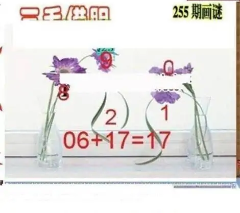 25255期: 三毛3D精品图谜
