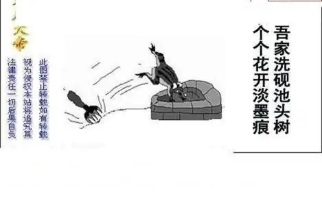 25115期: 白老3D杀码图版