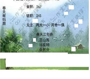 26013期: 大兵福彩3D黄金报图版