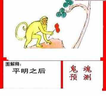 24176期: 白老3D杀码图版