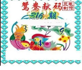 25316期: 三毛3D精品图谜