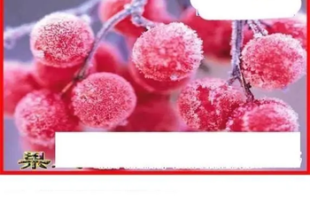 26073期: 白老3D杀码图版