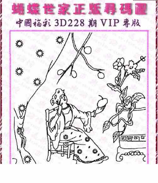 24228期: 3D蝴蝶世家蝴蝶彩图