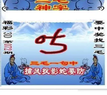 26072期: 三毛3D精品图谜