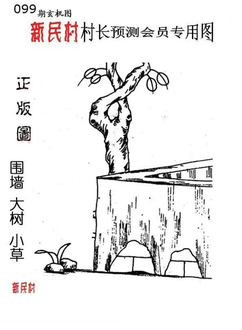 26099期: 老村长福彩3D天天图谜