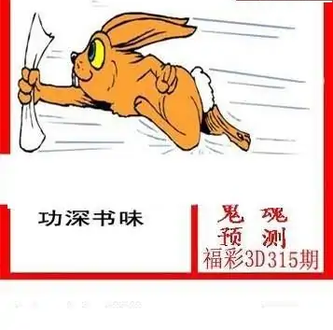 25315期: 白老3D杀码图版