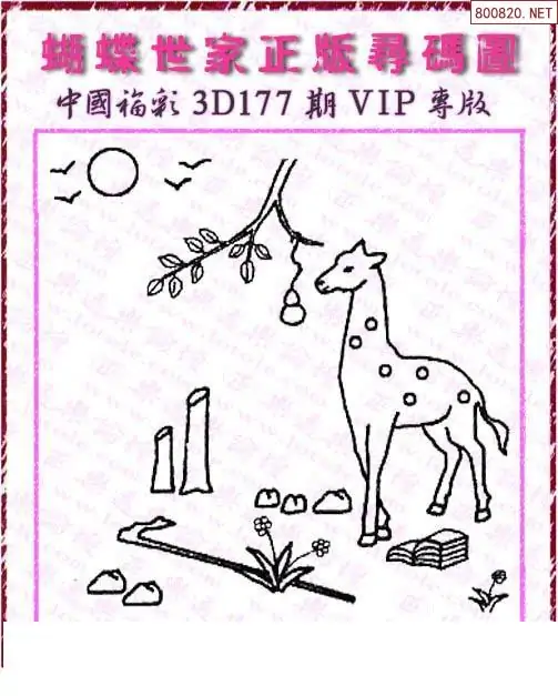 25177期: 3D蝴蝶世家蝴蝶彩图