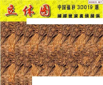 26019期: 3D蝴蝶世家蝴蝶彩图