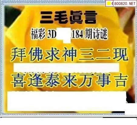 25184期: 三毛3D精品图谜