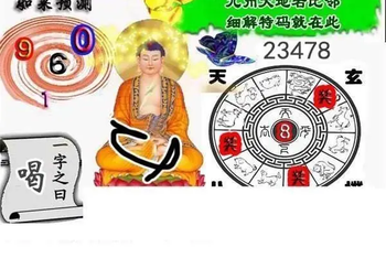 26051期: 白老3D杀码图版