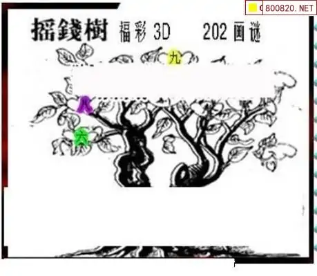 25202期: 三毛3D精品图谜