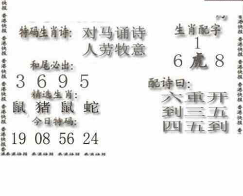 24121期: 白老3D杀码图版