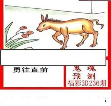 25236期: 白老3D杀码图版