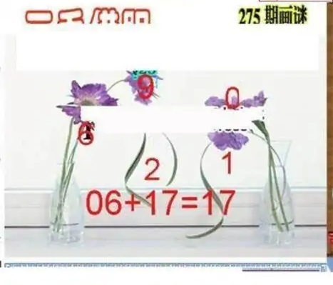 25275期: 三毛3D精品图谜
