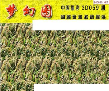 26059期: 3D蝴蝶世家蝴蝶彩图