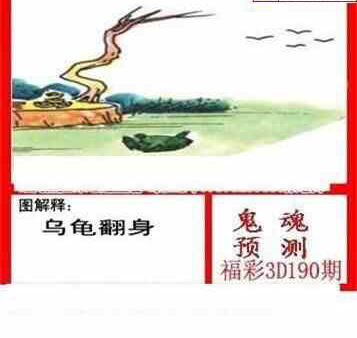 24190期: 白老3D杀码图版