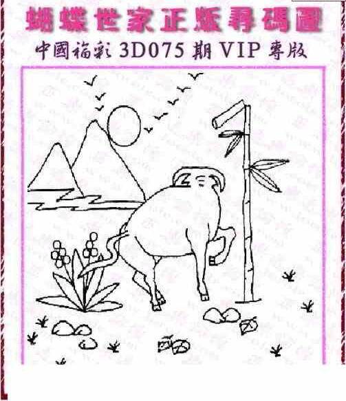 24075期: 3D蝴蝶世家蝴蝶彩图