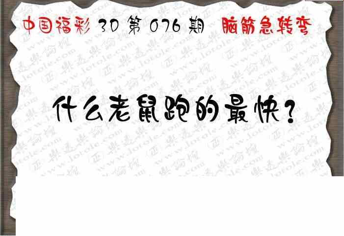 24076期: 3D蝴蝶世家蝴蝶彩图