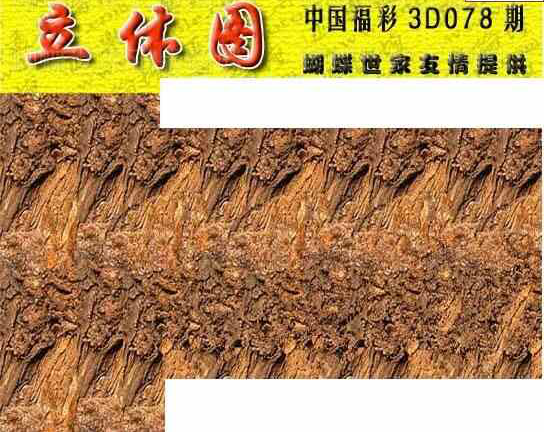 24078期: 3D蝴蝶世家蝴蝶彩图