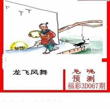 24067期: 白老3D杀码图版