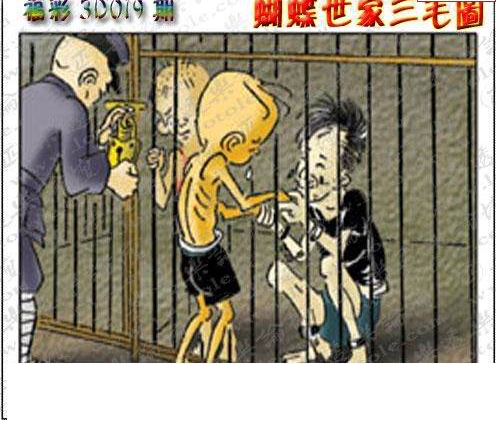 25019期: 3D蝴蝶世家蝴蝶彩图