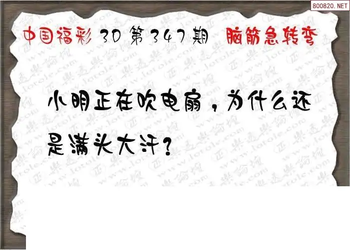 25347期: 3D蝴蝶世家蝴蝶彩图