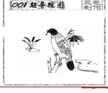 26001期: 三毛3D精品图谜