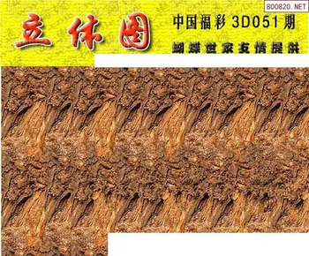 26051期: 3D蝴蝶世家蝴蝶彩图