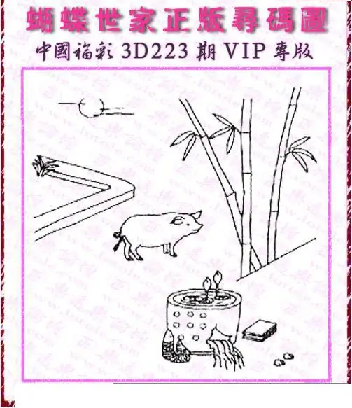 25223期: 3D蝴蝶世家蝴蝶彩图