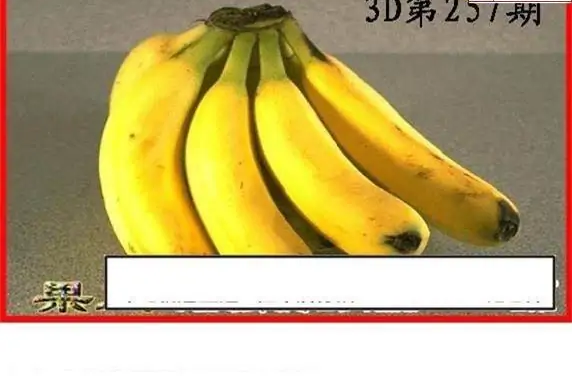 25257期: 白老3D杀码图版