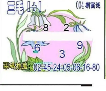 26004期: 三毛3D精品图谜