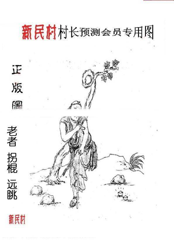 24344期: 老村长福彩3D天天图谜