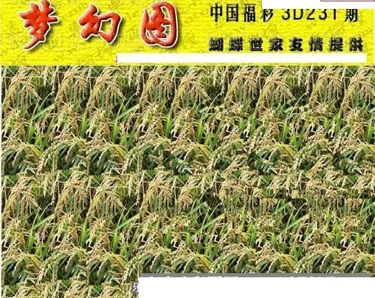 25231期: 3D蝴蝶世家蝴蝶彩图