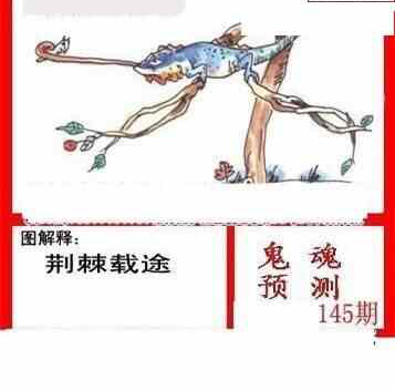 24145期: 白老3D杀码图版