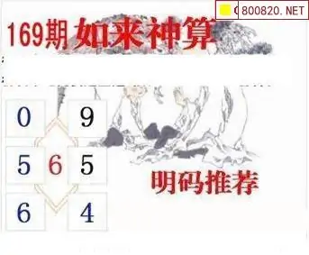 25169期: 白老3D杀码图版